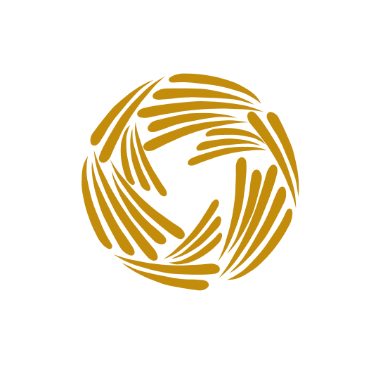 Logo Scola